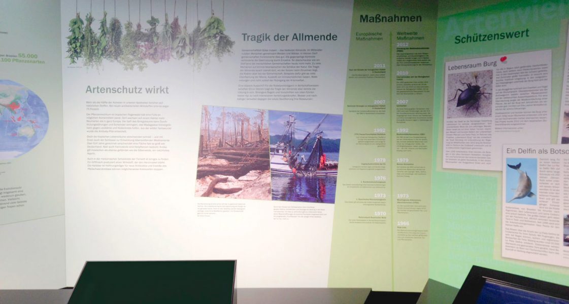 Folierung von großen Informationstafeln im Tiergarten Nürnberg