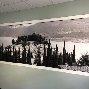 Trennwand-Folierung - Fensterscheibenfolierung mit einer bedruckten Sichtschutzfolie in einem Büroraum der Firma Niersberger