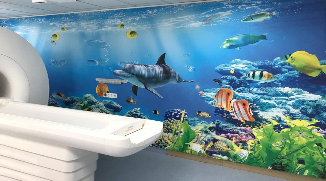 Wand komplett foliert mit einer Unterwasserlandschaft in der Kinderklinik Erlangen